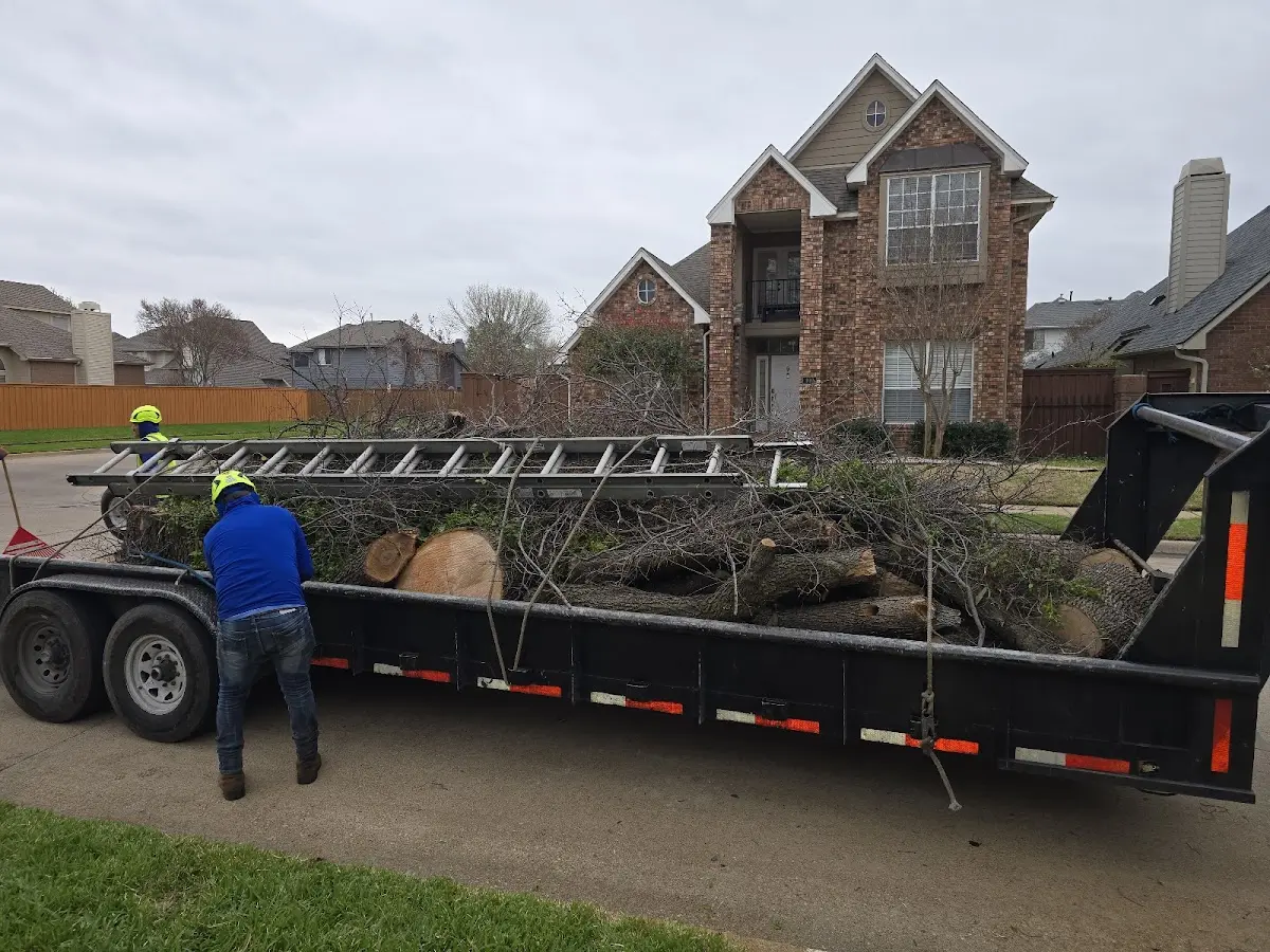 Expert Tree Fertilization with proper safety equipment in Advance